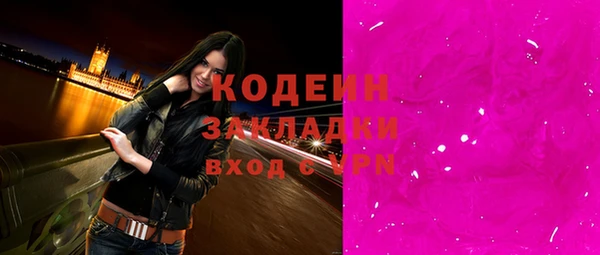 хмурый Аркадак