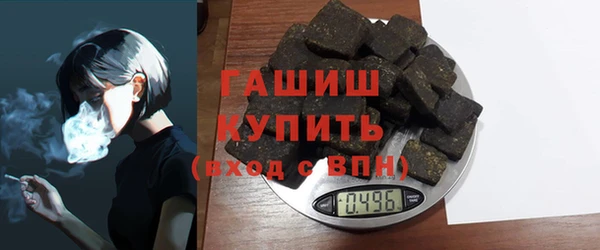 хмурый Аркадак