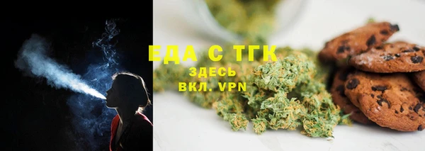 хмурый Аркадак