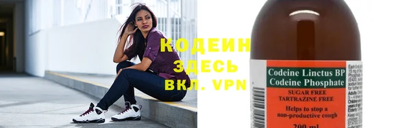хмурый Аркадак