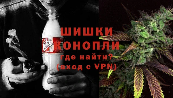хмурый Аркадак