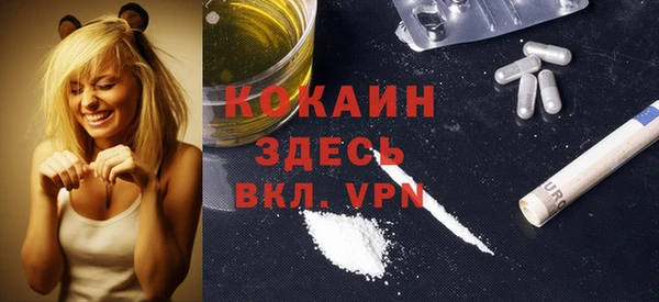 хмурый Аркадак