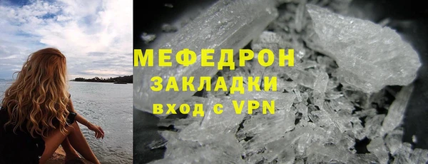 хмурый Аркадак