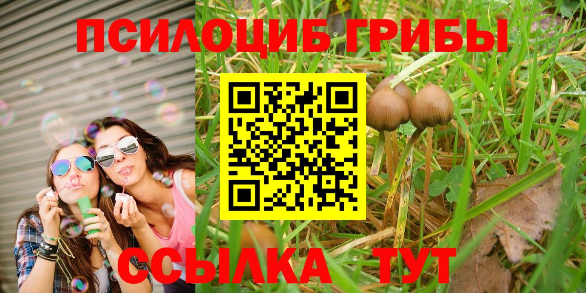 Галлюциногенные грибы ЛСД  Галлюциногенные грибы Psilocybine cubensis  Вход с VPN  Барабинск 