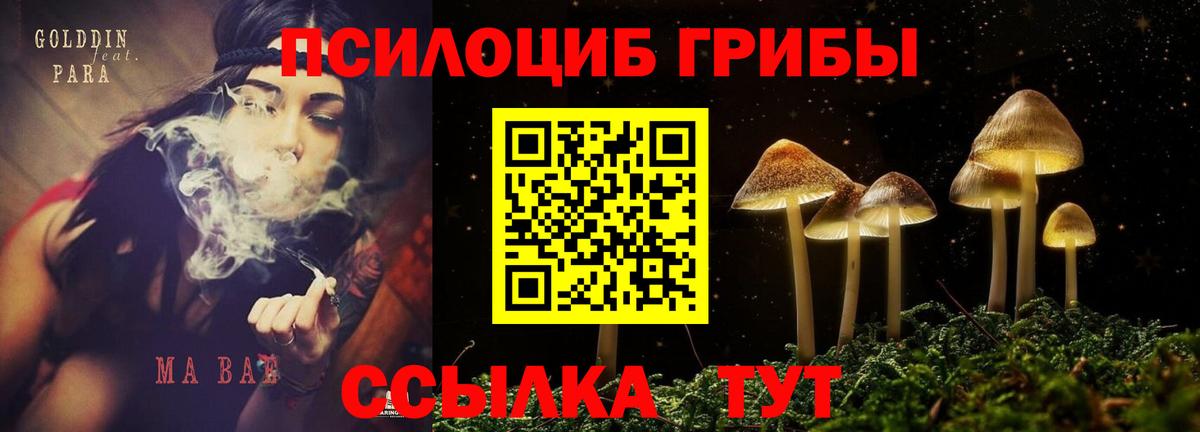 Галлюциногенные грибы прущие грибы Барабинск